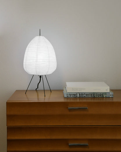 Paper Lantern Table Lamp